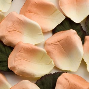 Rozenblaadjes Peach