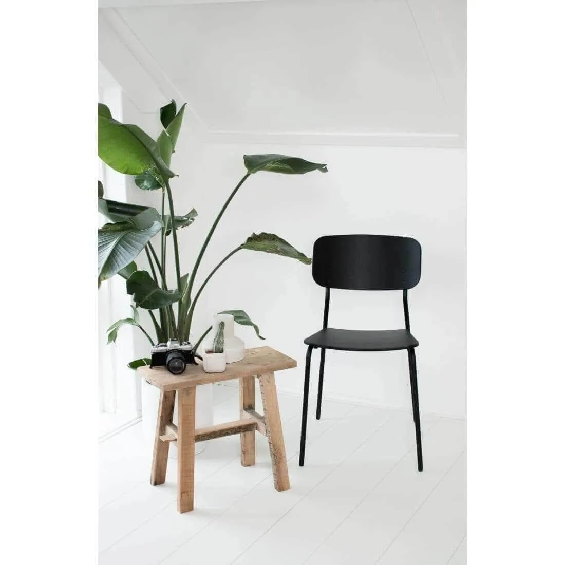 Workliving Bianca Eetkamerstoel - Houten Design Zwart Eiken - Afbeelding 5